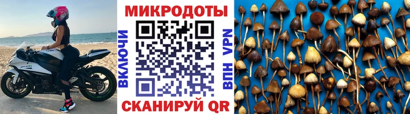 Купить  Светлый  Галлюциногенные грибы прущие грибы 